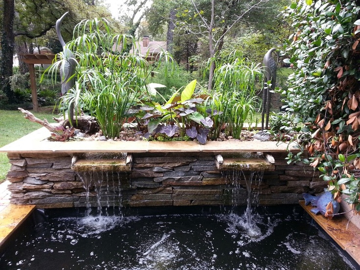 Koi Pond Info Pond Supplies | How To Build A Garden Pond ...
