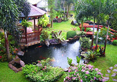 A detailed display of various pond pumps and filtration equipment, essential for maintaining pond water clarity and health, indicative of a service focused on pond machinery.