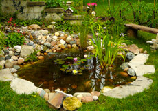 Santa Ana Koi Pond Design