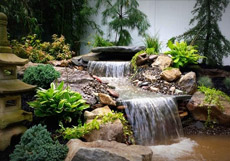 A mobile service unit by a pond, equipped with tools and supplies, showing on-site pond maintenance services ready to assist with pond care and repair.