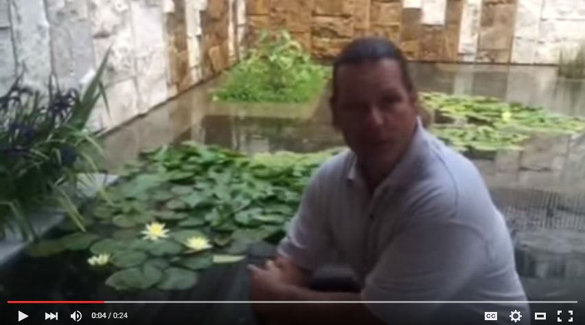 OC Water Feature Maintenance Tips