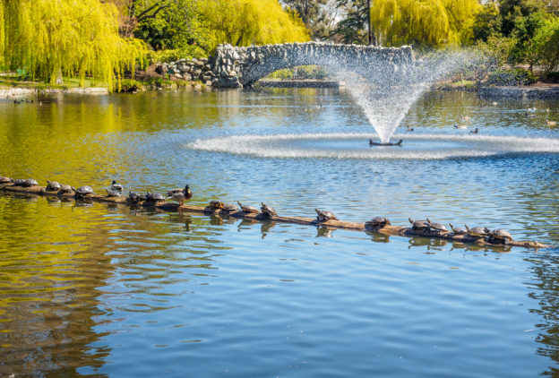 huntington beach fountain repair services