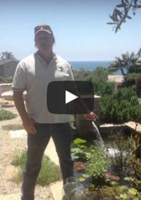 Orange County Water Feature Maintenance Tips