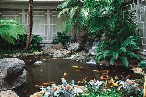 Huntington Beach Koi Pond Maintenance