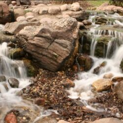 A dramatic double waterfall flowing over layered rocks into a serene pond, surrounded by dense shrubbery and tall trees, enhancing the naturalistic garden setting.