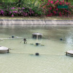 OC Pond fountain repair Irvine
