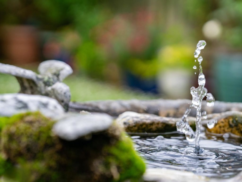 How Do I Fix My Water Fountain? Should I Let the Professionals Handle this Concern?