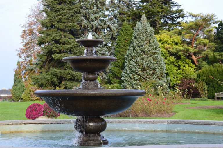 The Ultimate Water Feature Guide How Often Do Fountains Need to be