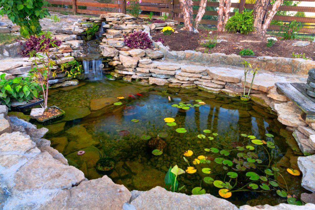 How Choosing the Right Pond Repair Can Improve Water Quality