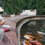 Koi fish ponds