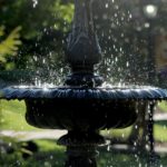 Waterscape Made Easy: Can I Put Vinegar in My Water Fountain?