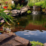 outdoor pond’s water quality