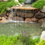 garden ponds