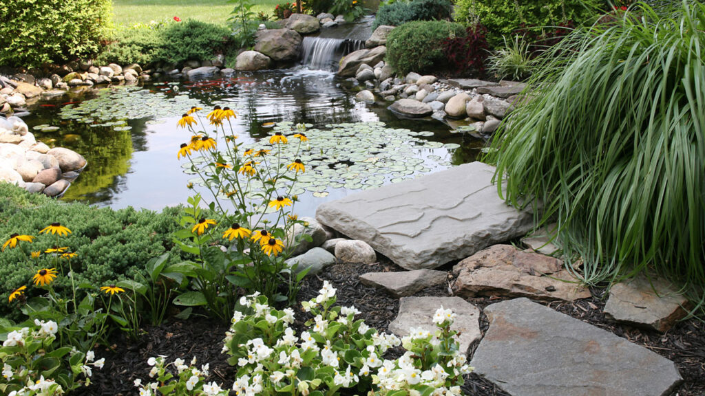 backyard pond design
