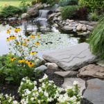 backyard pond design