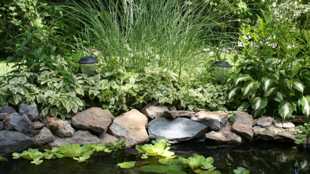 well-designed backyard pond