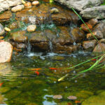 relaxing backyard pond