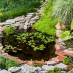 backyard ponds