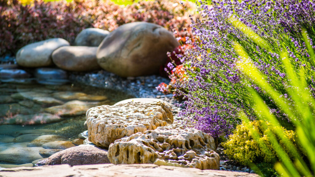 pond designers Orange County
