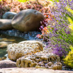 pond designers Orange County