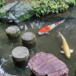 Pond and fountain repair Orange County