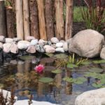 pond cleaning services