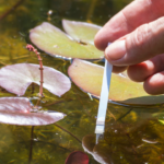 Balancing Pond Ph Tips And Techniques