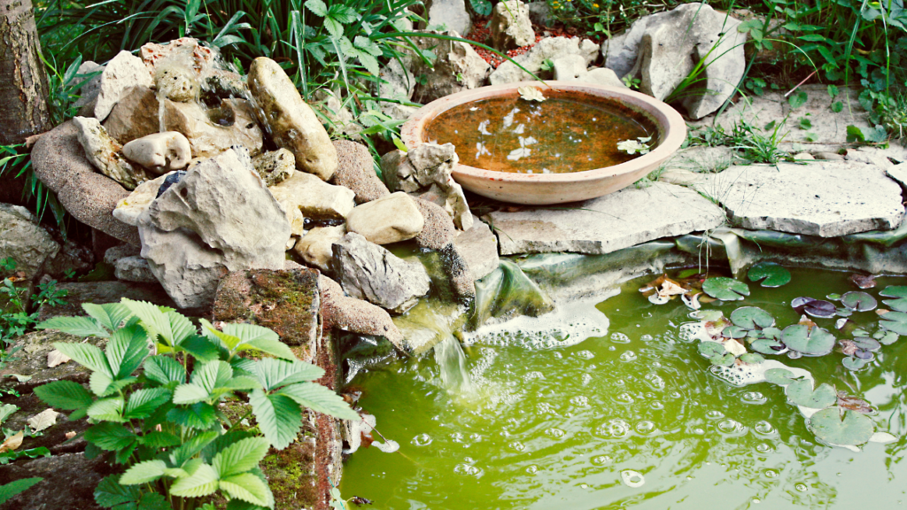 pond and fountain repair in Orange County