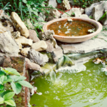 pond and fountain repair in Orange County