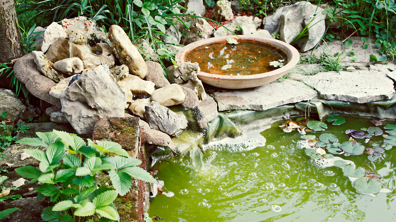 pond and fountain repair in Orange County
