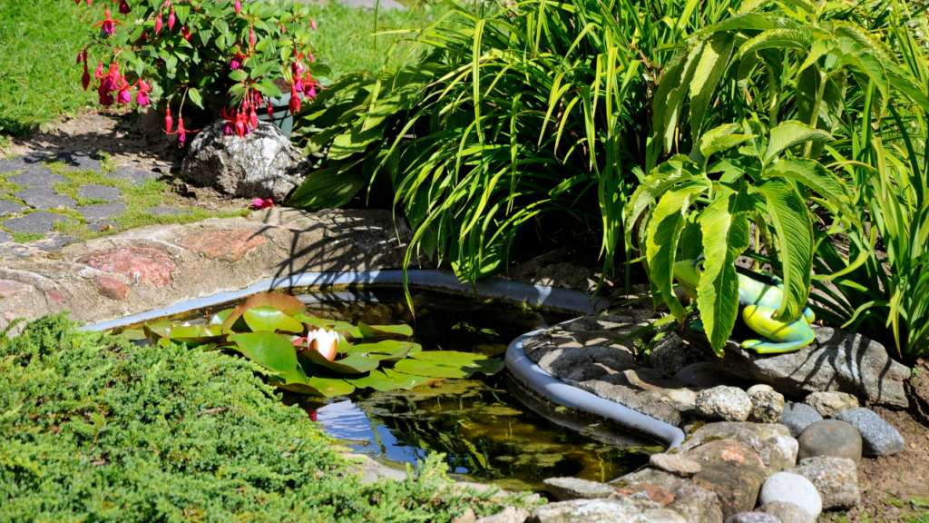 pond and fountain repair in Orange County