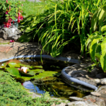pond and fountain repair in Orange County