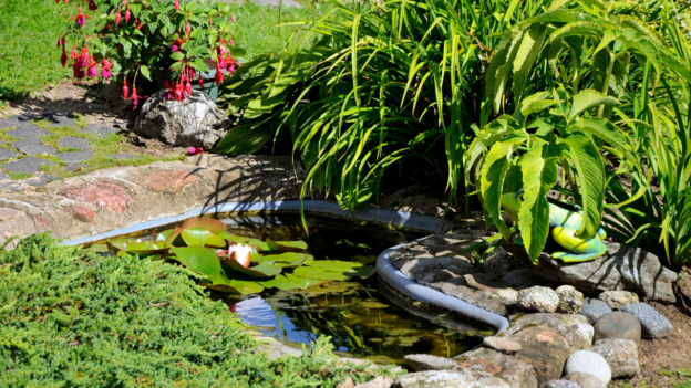 pond and fountain repair in Orange County