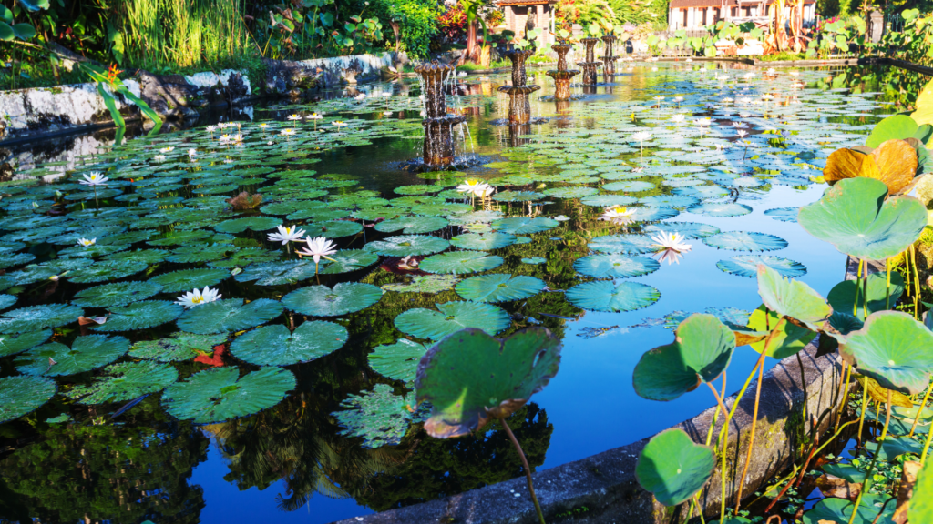 pond and fountain repair in Orange County