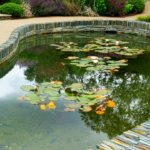 pond and fountain repair in Orange County