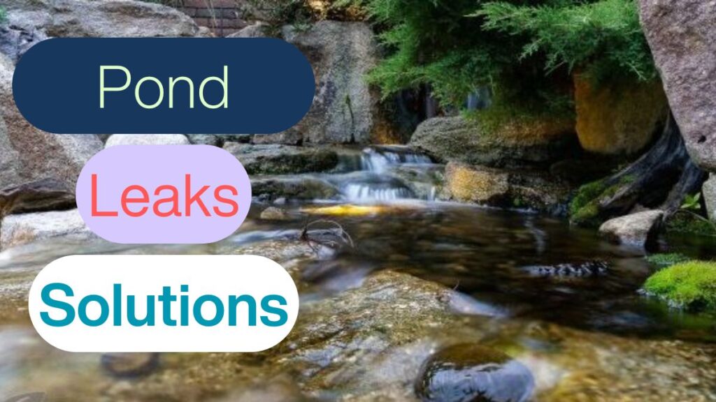 Solutions for pond leaks, showcasing various repair methods and materials to ensure water retention and ecosystem health.