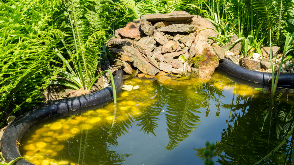 Orange County Pond Services