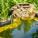 Orange County Pond Services