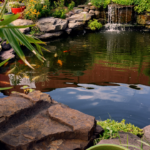 Orange County Pond Services