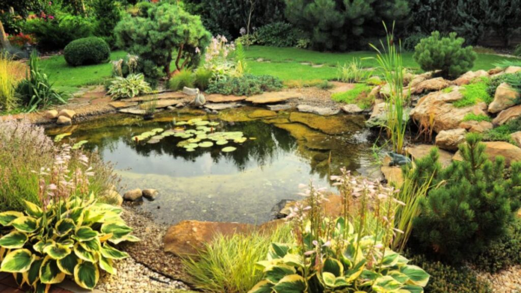 A picturesque garden scene with a calm pond, decorative rocks, and vibrant plants.