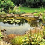 A picturesque garden scene with a calm pond, decorative rocks, and vibrant plants.