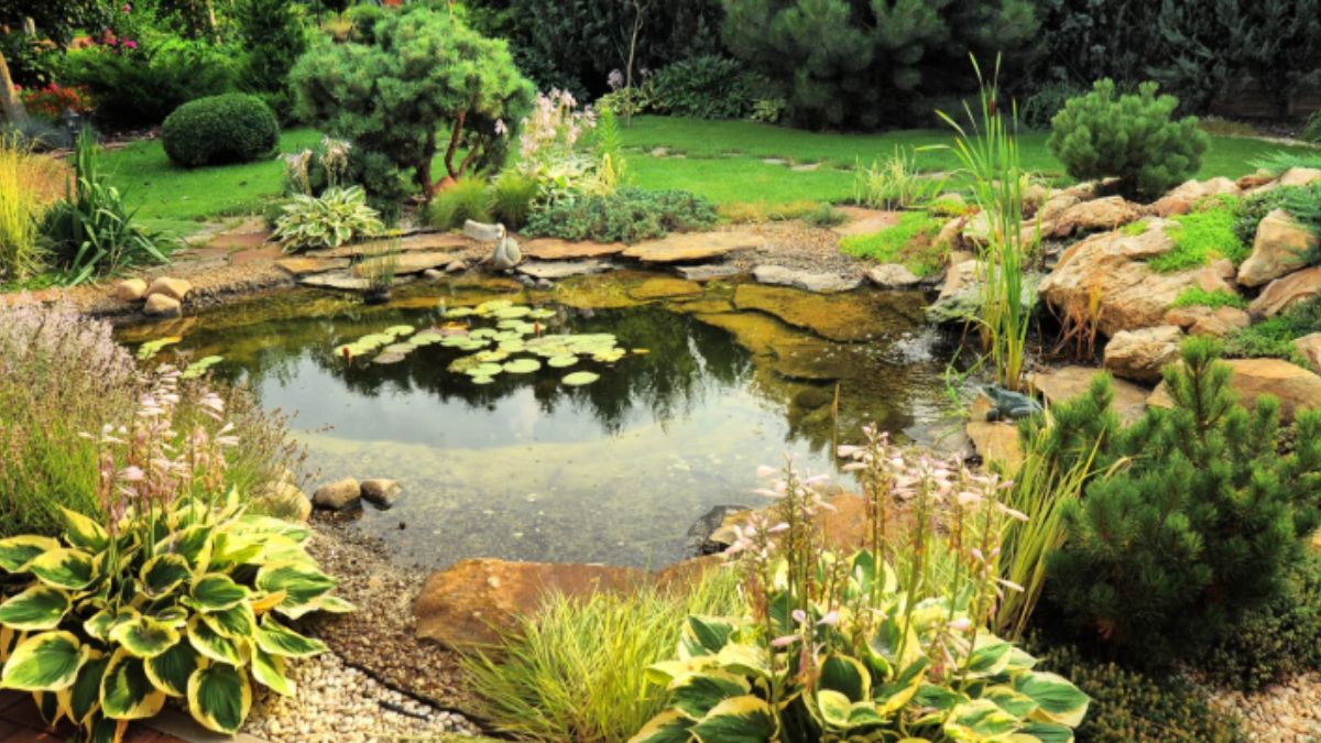 A picturesque garden scene with a calm pond, decorative rocks, and vibrant plants.