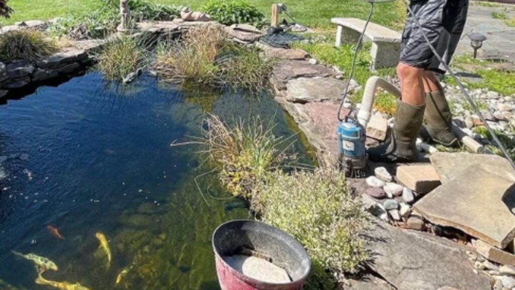 A man uses a hose to clean debris from a pond, ensuring the water remains clear and inviting.