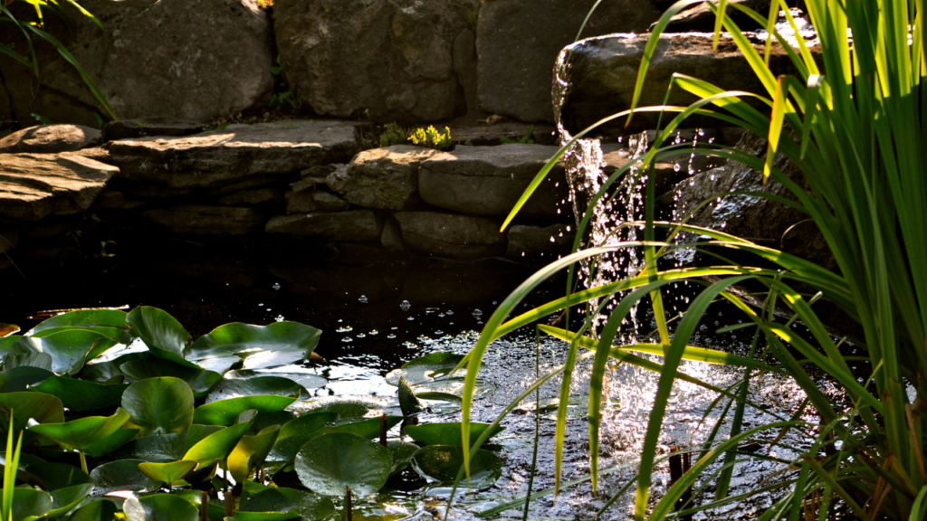 regular fountain maintenance