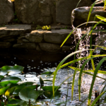 regular fountain maintenance