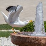 Fountain installation