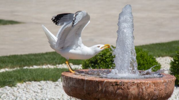 Fountain installation