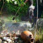 professional pond maintenance services