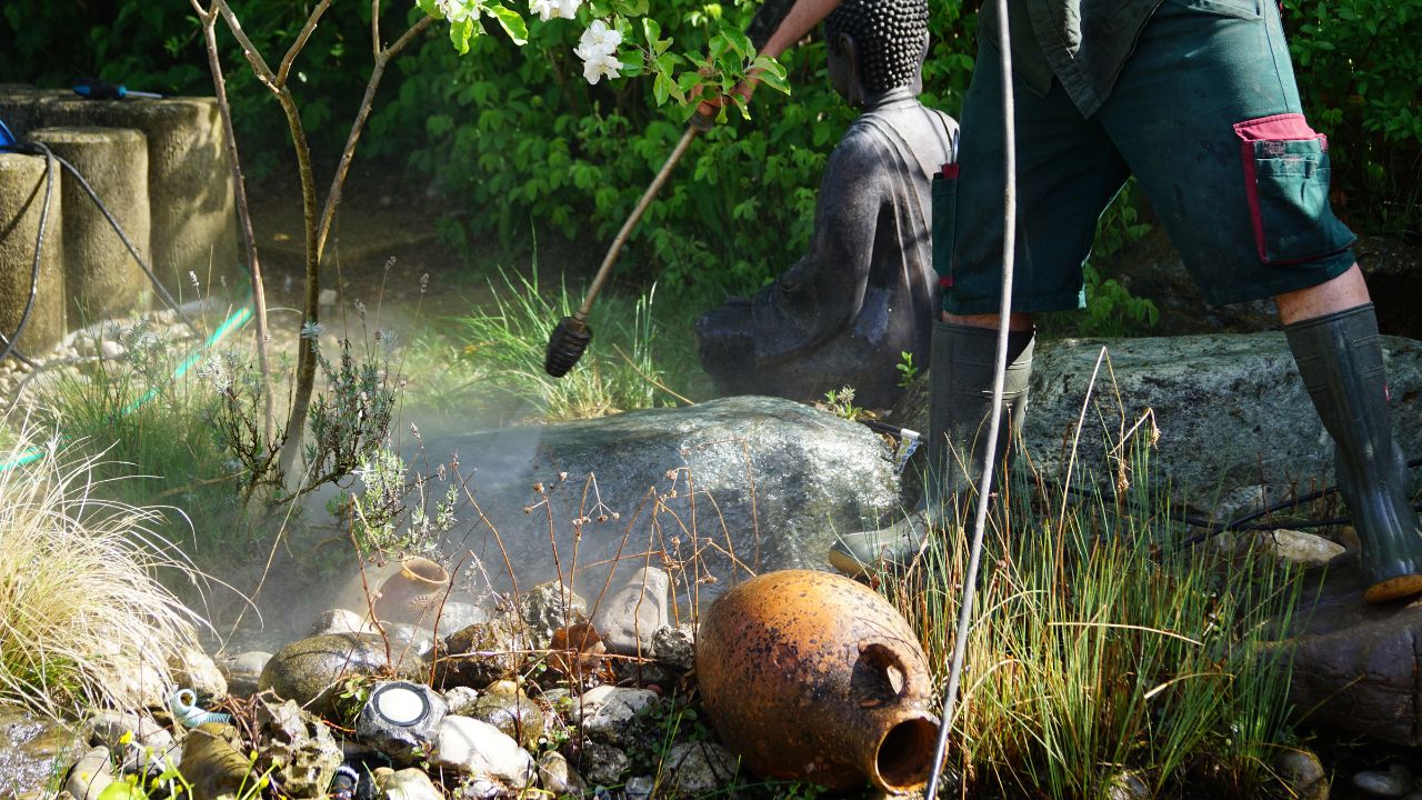 professional pond maintenance services