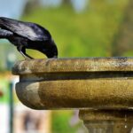 fountain repair